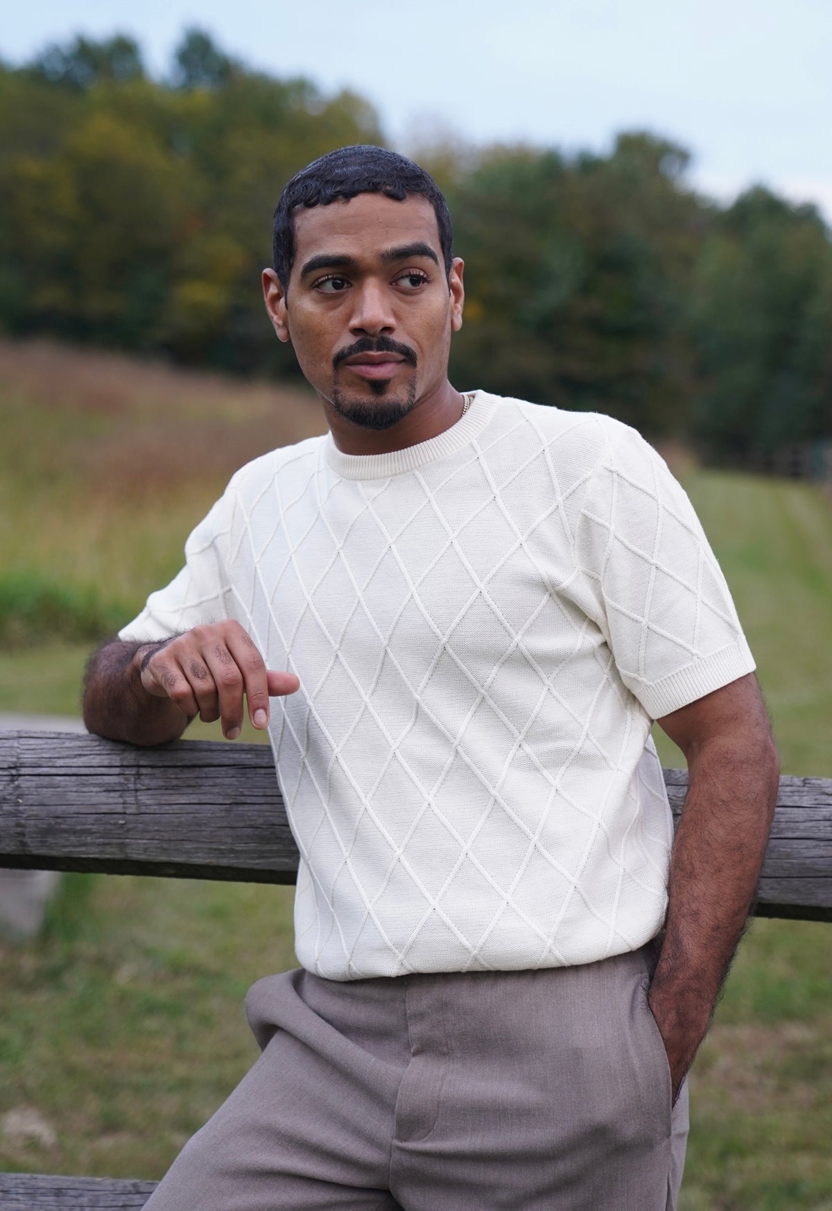 Diamond Knit Short-Sleeve Sweater (Cream)